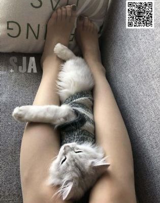 花街狂奔 电影_最新电影在线观看