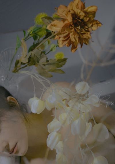 年轻的妻子在线播放_超清在线手机播放