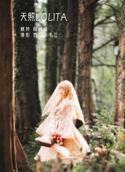 电视剧武则天第30集免费的播放_1080P在线视频播放