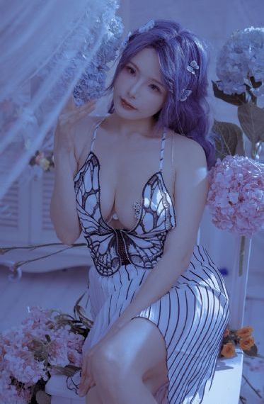 施公奇案 电视剧_1080超清免费观看