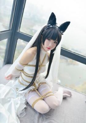 反贪风暴4在线观看免费完整版_DVD高清完整版播放